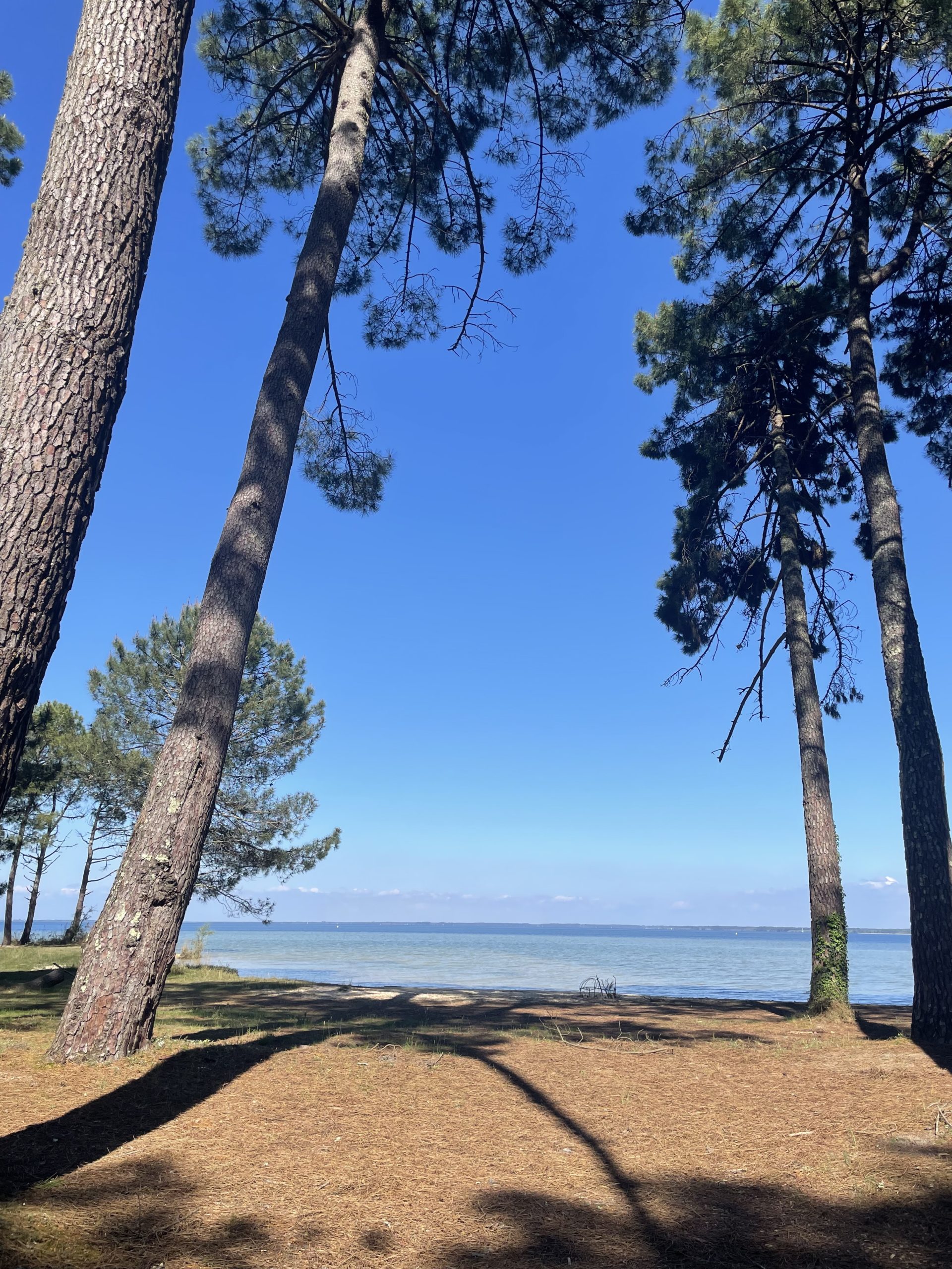 Lac de Biscarrosse