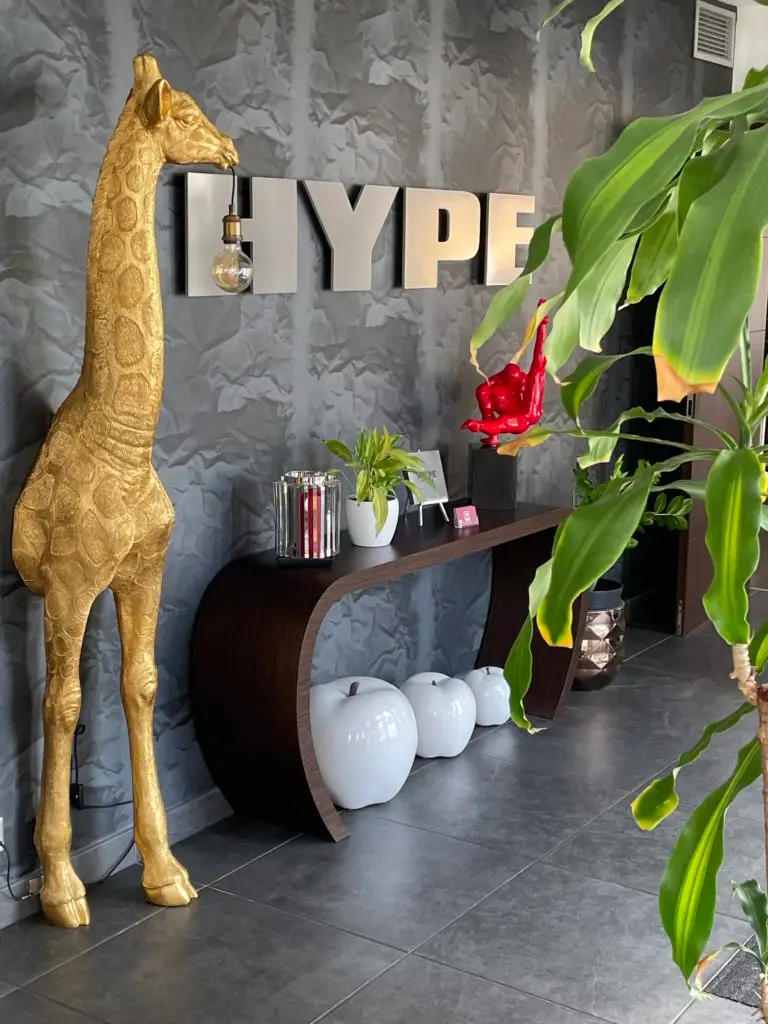 Réception Hype hotel biscarrosse