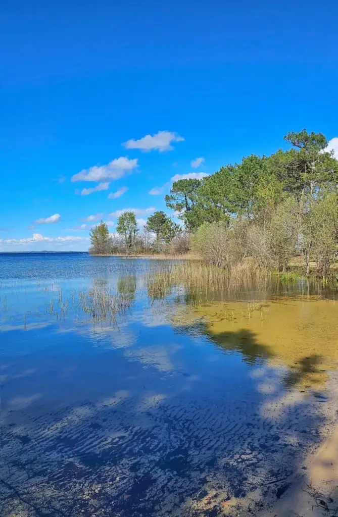 Lac nord de Biscarrosse