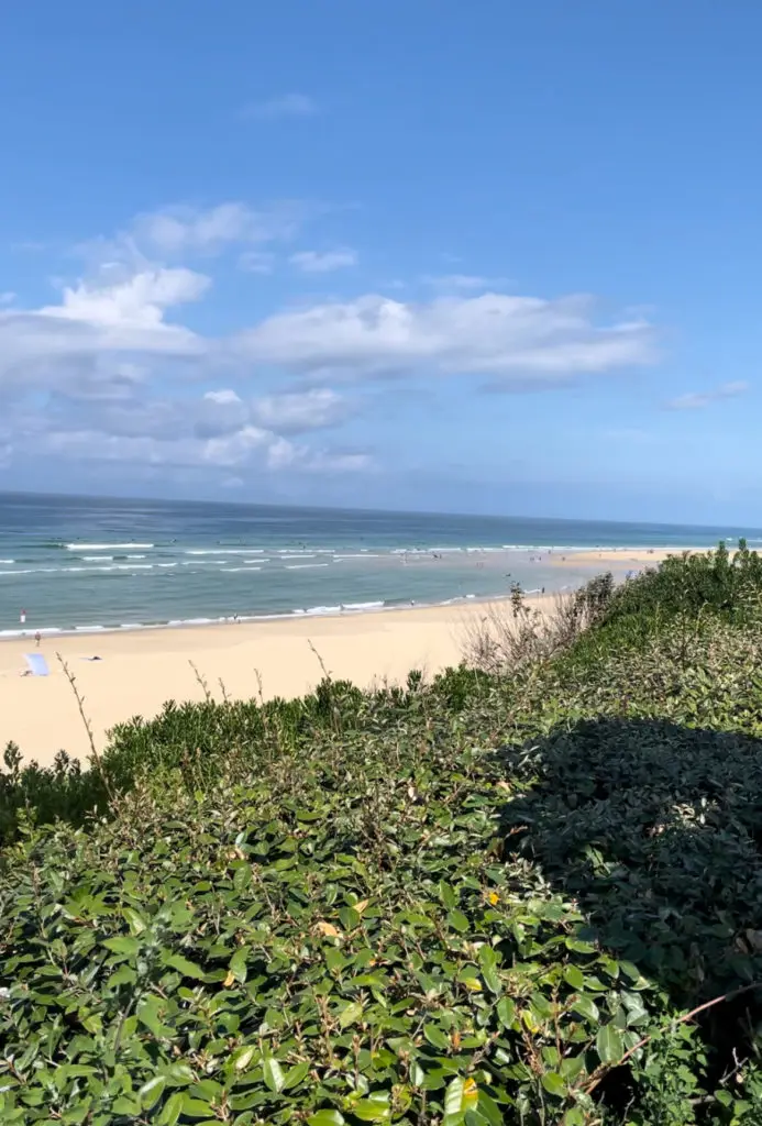 Bisca plage